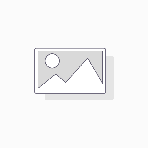 Transportpalette (EU)